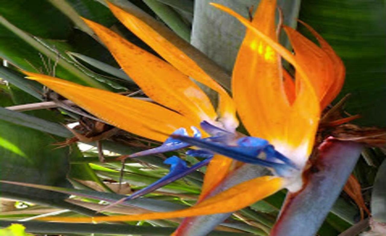 Hacienda Sol Trapiche Villa Trapiche  Exteriör bild